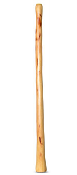 Natural Finish Didgeridoo (TW649)